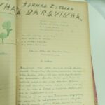 A Barquinha — n.5 (jul/1949)