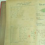 A Barquinha — n.6 (ago/1949)