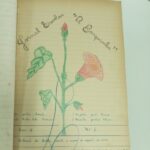 A Barquinha — n.6 (ago/1949)