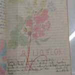 BEIJA-FLOR — n.2 (nov/1950)