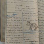 A Escola — s/n (out/1950)