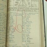 A Barquinha — N.31 (nov/1946)