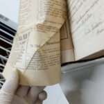 A Criança Brasileira — n.19-20 (abr/1945)