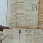 A Criança Brasileira — n.41-42 (out/1947)