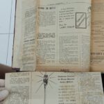 A Criança Brasileira — n.41-42 (out/1947)