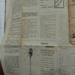 A Criança Brasileira — n.41-42 (out/1947)