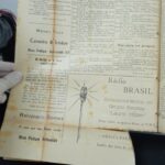 A Criança Brasileira — n.45-46 (jun/1948)